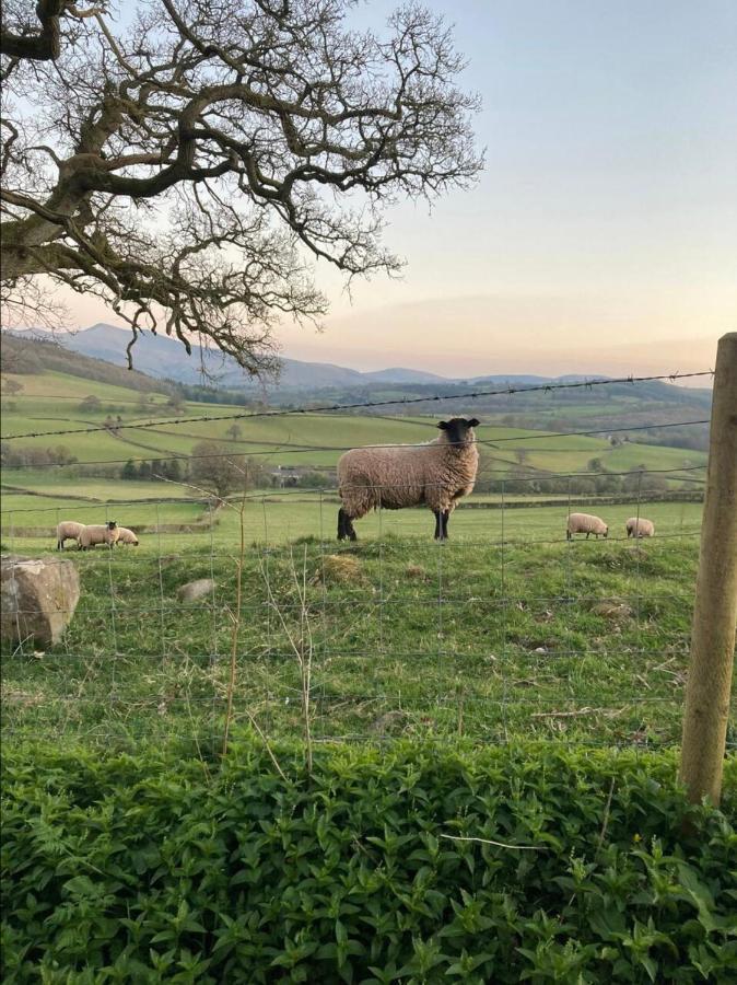 Cosy Arts & Crafts Cottage With Stunning Views Brecon Dış mekan fotoğraf